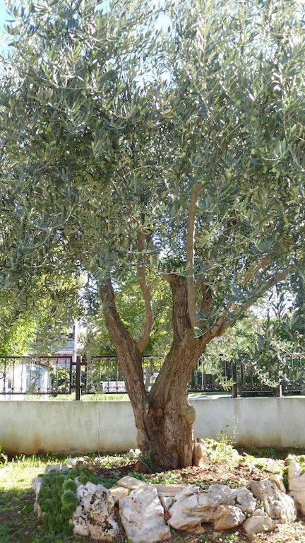 Apartment Libera *