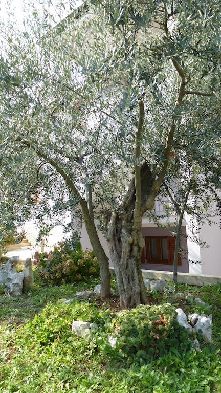 Apartment Libera *